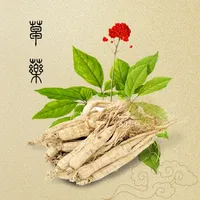 中医药草 - 图文鉴别学习中草药百科知识大全 icon