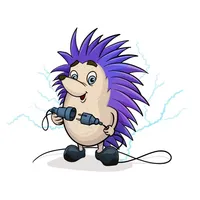 VPN Hedgehog master proxy icon