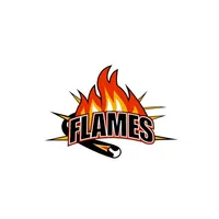 Flames Pizza & Kebab icon