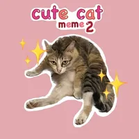 Cute Cat Meme 2 icon