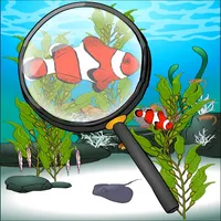 Find The Hidden Fish icon