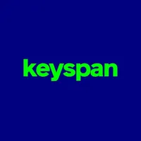 Keyspan icon