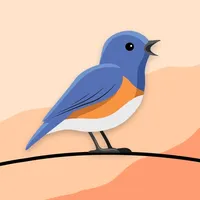 Chirpy Challenge icon