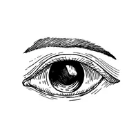 Awake: Awareness and Presence icon