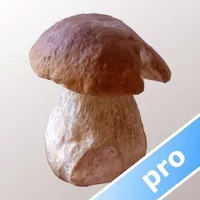 Myco Pro icon