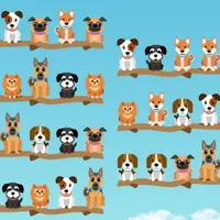 Dog Sort Puzzle icon