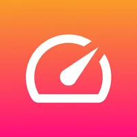 Speedometer Live PiP icon