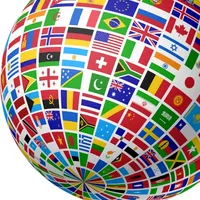 Guess This Flag icon