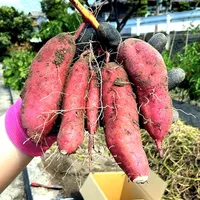 Farm Reco ファームレコ -家庭菜園・畑の記録- icon