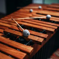 Vibraphone Symphony icon