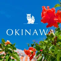 We love Okinawa icon
