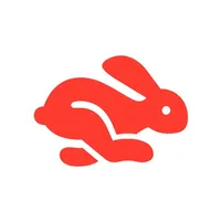Rabbit - PiP Video Browser icon