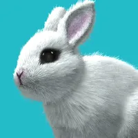 My Rabbit Room icon
