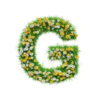 Green Shym Доставка в Шымкенте icon