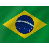 Brazil E-visa icon