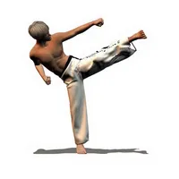 Taekwondo Forms (ITF/WTF) icon