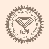 IGI ePortal icon