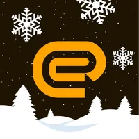 Express Business icon