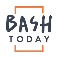Bash Today: арендовать лофт icon