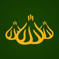 Позная, Братск icon