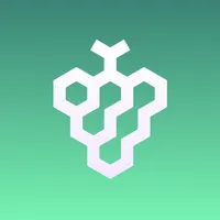 树莓加速器 - VPN加速神器 icon