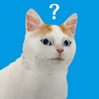 Escape Game Cat's Perspective! icon