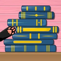 Perfect Satisroom Tidy Puzzle icon