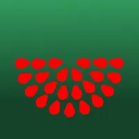 Watermelon+ icon