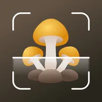 Mushroom identifier Picture ID icon
