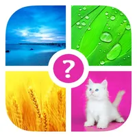 Words & Pics ~ Free Photo Quiz. What's the word? icon