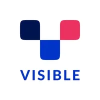 VISIBLE - The parent network icon