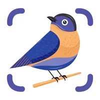 BirdSnap: Bird Identifier ID icon