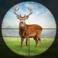 Animal Chasing: City Hunt 3D icon