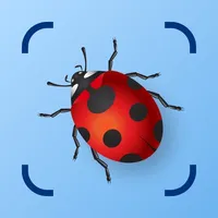 Bug Identifier: Insect ID (AI) icon