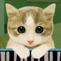 Feline Synth ねこシンセサイザー icon