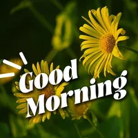 Good Morning Brithday GIFs icon