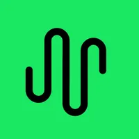 Analyzer for Spotify Stats icon