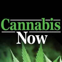 Cannabis Now icon