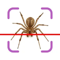 Bug Identifier & ID Insect icon