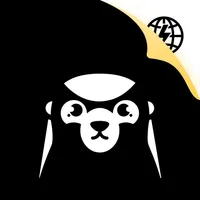 DXM-International Version icon