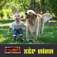 Kids Animal Slide Puzzle Ghép Hình Động Vật Cho Bé icon