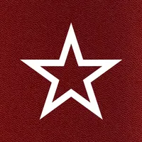 Счетчик ДМБ: таймер дней icon