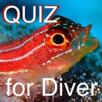 Quiz for Diver -海洋生物クイズ- icon