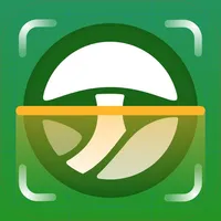 Mushroom Identifier By AI icon