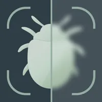 Insect Bug Identifier: BugScan icon