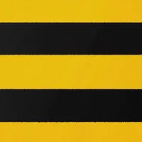 蜜蜂创作 - 海量生成爆款视频 icon