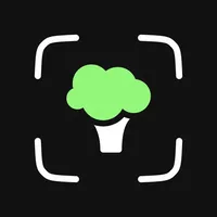 AI Calorie Counter with Photo icon