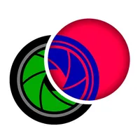 Pedestrian light icon