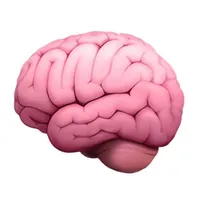 PDF Brainrot - PDF to Brainrot icon