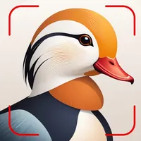 Bird Identifier AI icon